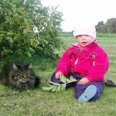 Blanding af racer Mie