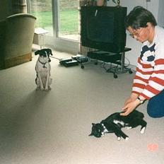 Blanding af racer Katja 1(R.I.P)