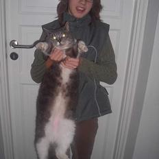 Huskat Mulle