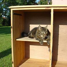 Blanding af racer Wiliam R.I.P :'(