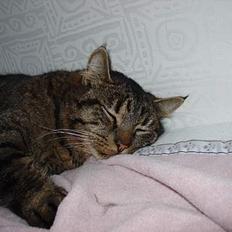 Blanding af racer Wiliam R.I.P :'(