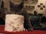 British Shorthair Alrune