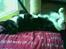 Huskat Emmely - Emmely der sover