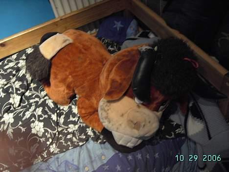 Europé bertram - legekamaraten. billede 3