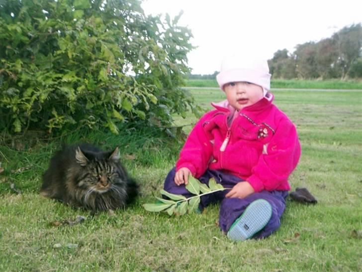 Blanding af racer Mie - Mie putter, flere billeder kommer snart:) billede 1