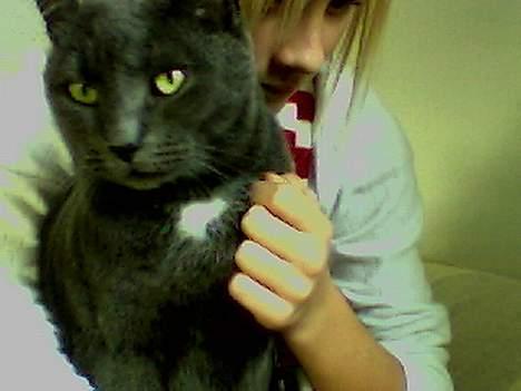 Blanding af racer Buller q: - Min Bullemis og mig i bagrunden. :b billede 1