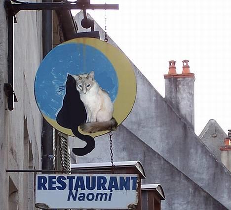 Balineser Naomi R.I.P - mit fortrukne spisested............ billede 11