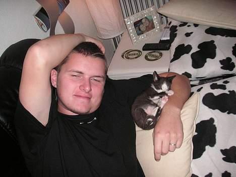 Huskat Magnus - Her ligger jeg bare dejligt billede 7