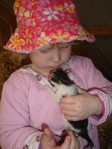 Huskat Senta - Det første billede der er taget af Senta og min datter sammen det er taget ude på den bondegård hvor hun er født billede 6