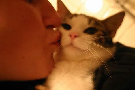 Huskat Senta - Senta der får mysser af mor billede 9