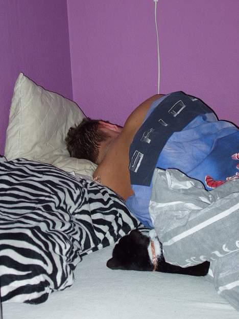 Huskat Fissen - Vi tager os lige en morfar lur billede 2