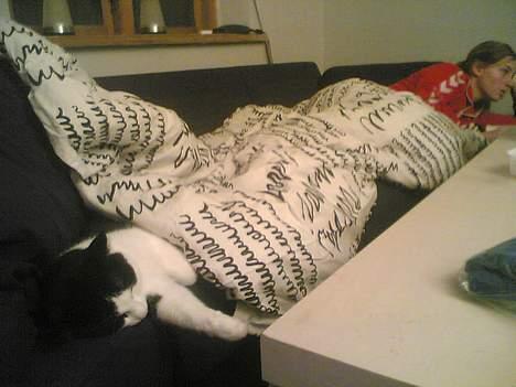 Huskat Fissen - En lur med fars kæreste billede 3