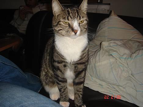 Huskat mulle billede 1