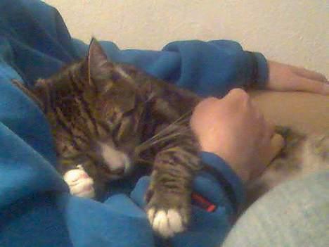 Huskat mulle billede 3