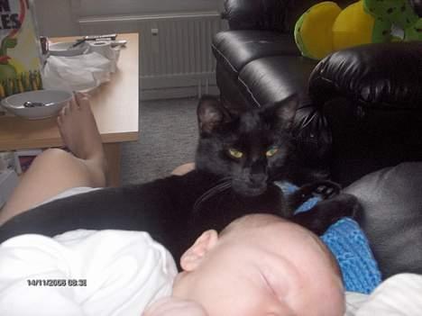 Huskat freja billede 17