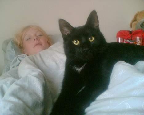 Huskat Benny billede 8