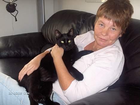 Huskat Benny billede 18