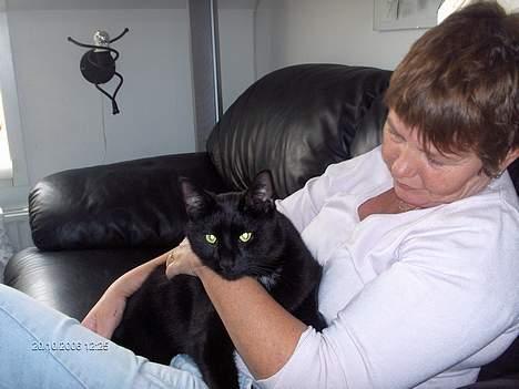 Huskat Benny billede 19