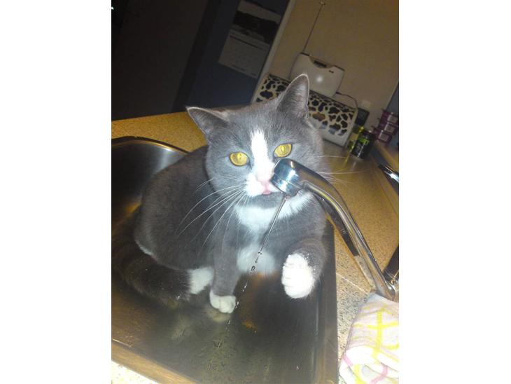 {{currentPhoto.altText}} billede {{currentPhoto.number}}