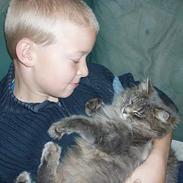 Blanding af racer Ronja