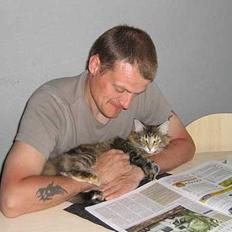 Norsk Skovkat Dark Demerara