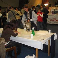 Norsk Skovkat EC. Mulle RIP