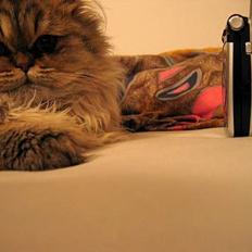 Perser Juicy De Montespan