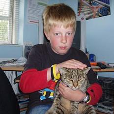 Huskat Sylvester *Aflivet*