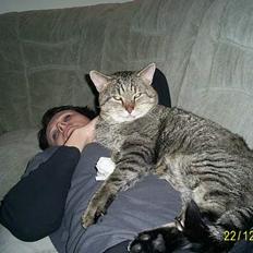 Huskat Miv ( død ) ;(