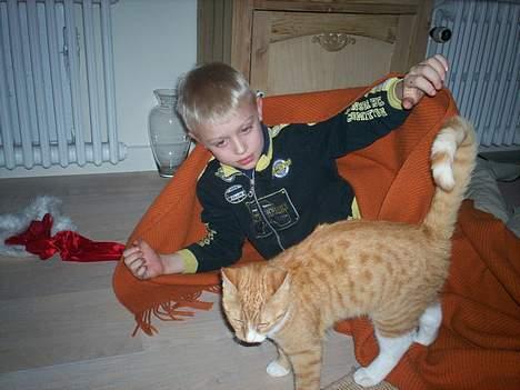 Blanding af racer Basse * død * - Basse og min bror d. 4/12 <3 billede 4