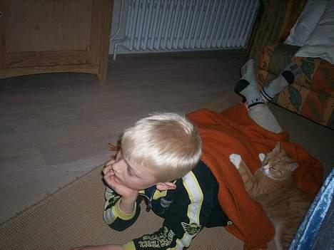 Blanding af racer Basse * død * - Basse og min bror d. 4/12 <3 billede 6