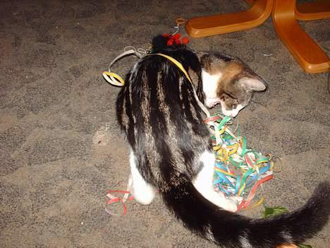 Huskat Pjevs - Grrr... serpentiner billede 8