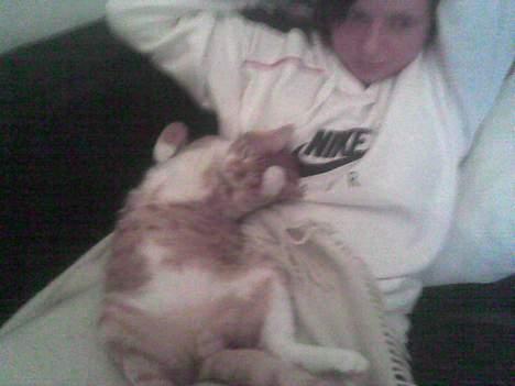 Huskat Bølle billede 16