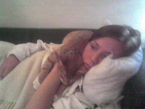 Huskat Bølle billede 18