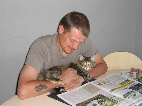 Norsk Skovkat Dark Demerara - læser avis med far billede 3