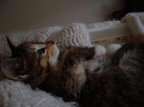 Huskat Nala - :D<3 billede 3