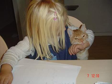 Blanding af racer Theo  - Karoline og Theo tegner billede 9