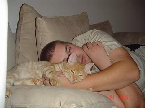 Blanding af racer Theo  - Det er bedst at hygge med "farmand" billede 12