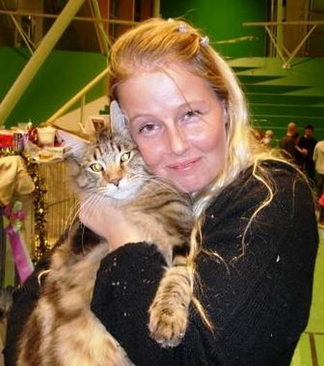 Maine Coon Belmicoon´s El´Dorro billede 12