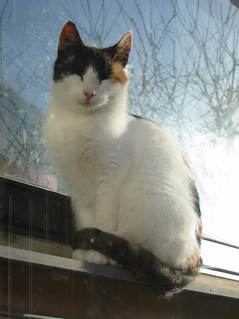 Huskat My billede 11