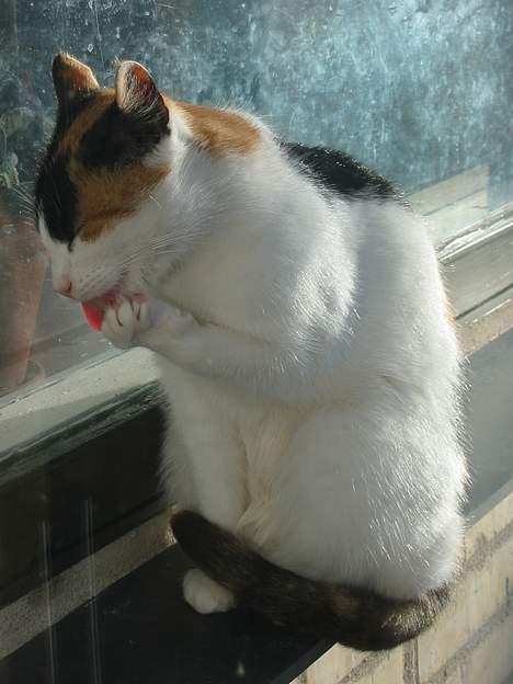 Huskat My billede 12