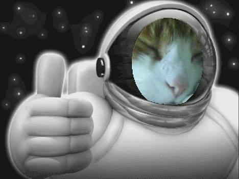 Blanding af racer Filur billede 18