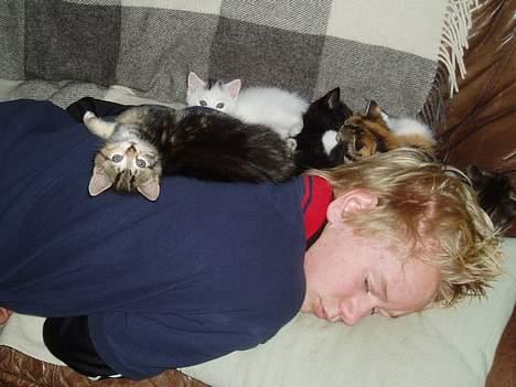 Blanding af racer Gaffa..<3 - Hvad?? billede 4