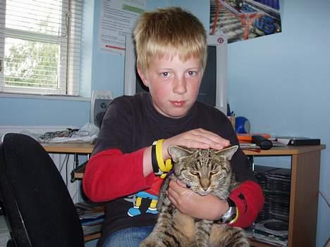 Huskat Sylvester *Aflivet* - Slip mig :´( billede 2