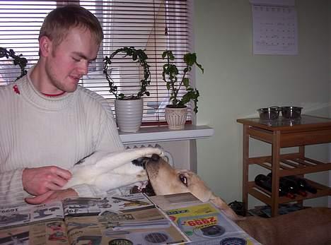 Huskat Arnold - "Skrid Charlie - Jeg var her først". billede 17