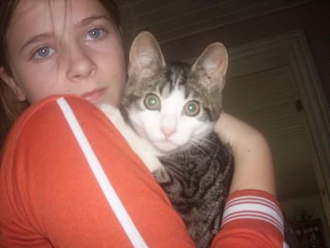 Blanding af racer Manis billede 10