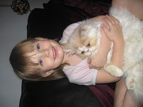 Perser gizmo - mig og min søster.. billede 5