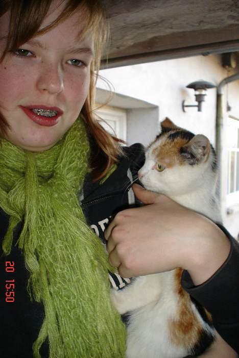 Huskat pjevs billede 7