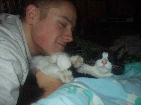 Norsk Skovkat Basil - Hygger med far i sommerhus vinteren 2006 billede 9