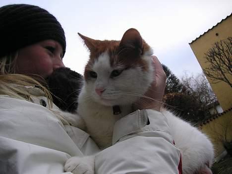 Huskat Kipper - Kipper Og Min Store Søster<´33(L) billede 8